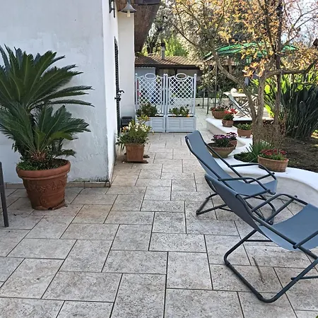 Relax Margherita